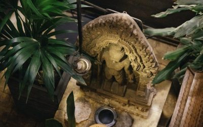 240313-2-large-1200x-q75