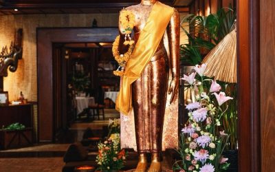 240516-large-1200x-q75